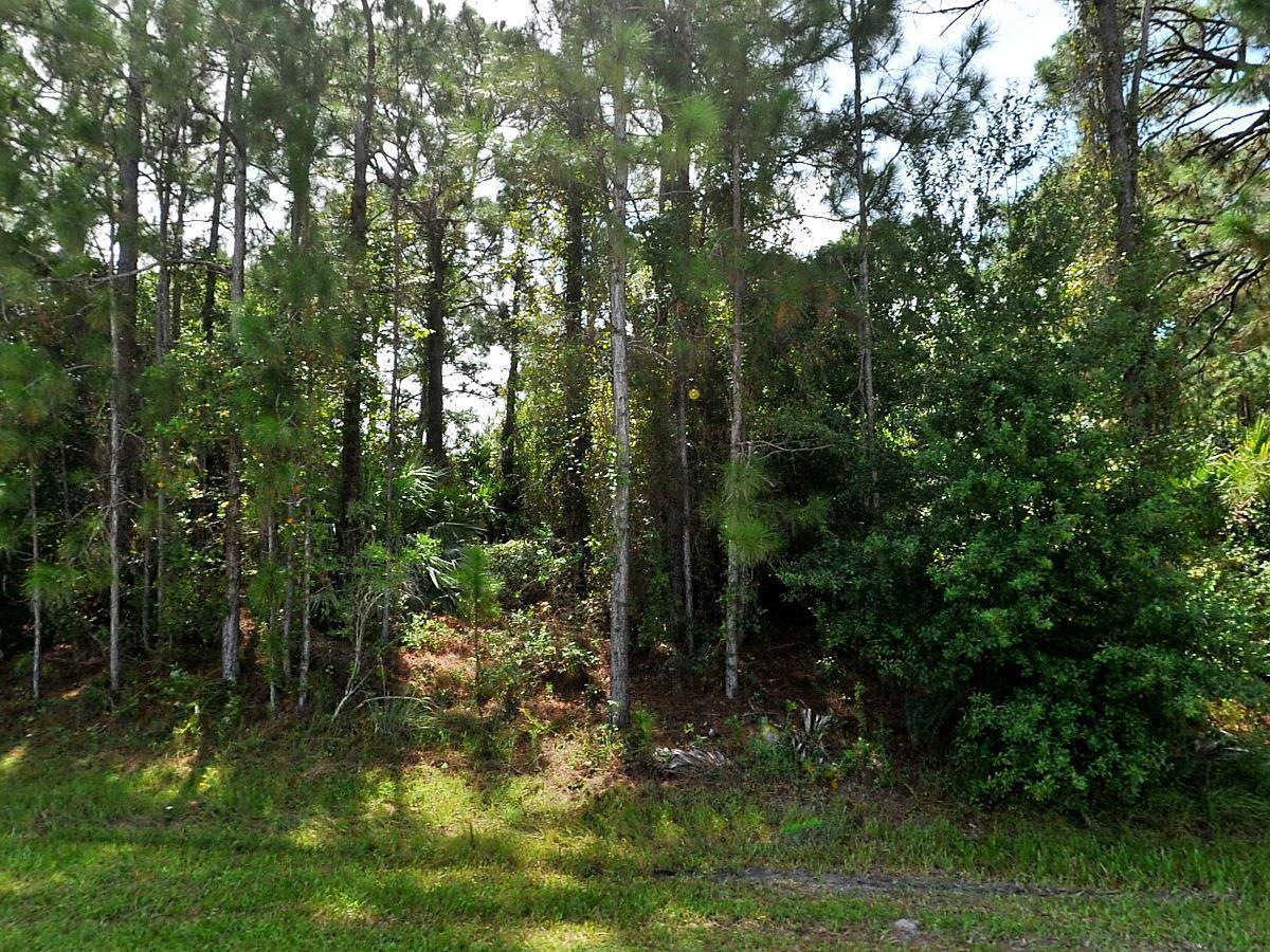1350 Paar Drive - Photo 1