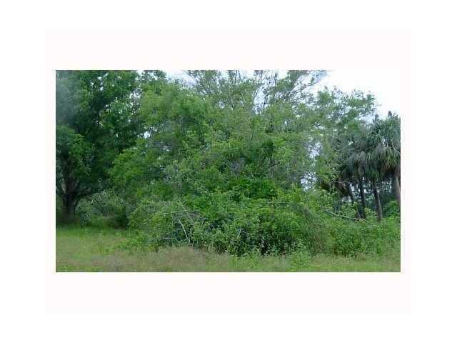 3899 Chicopee Street - Photo 1
