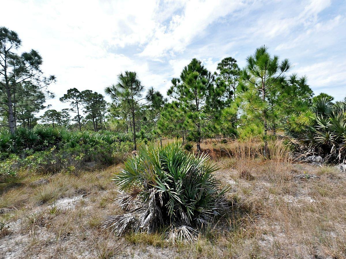0 Tbd Dyer Road - Photo 1