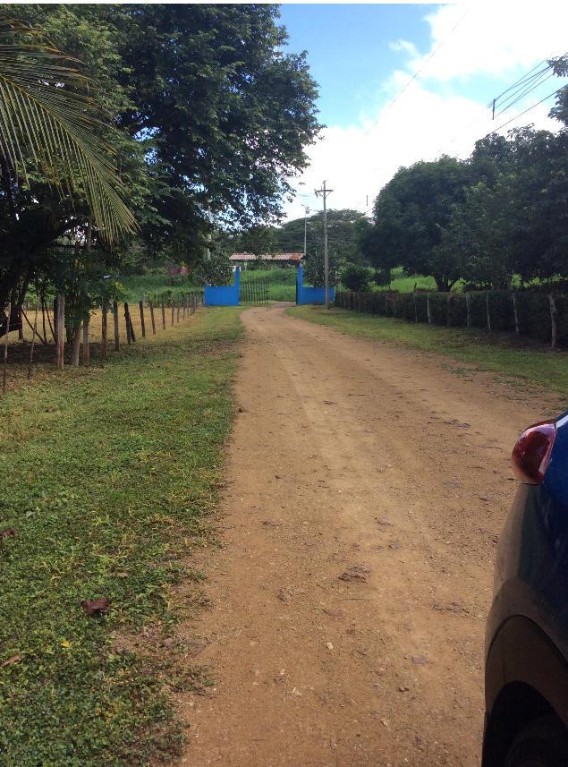 Lot.25 Villa Saygon Ceiba - Photo 1