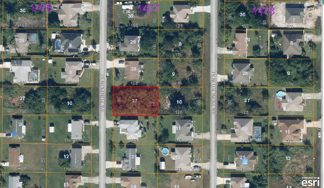 3501 Pumpkin Street - Photo 1