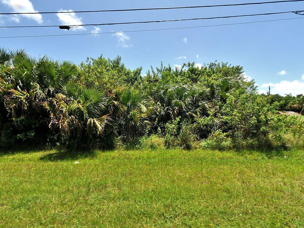 982 Alcantarra Boulevard - Photo 1