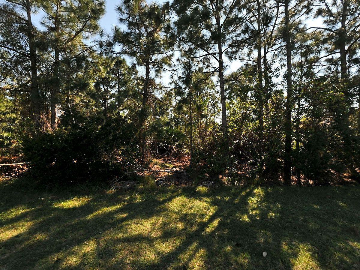 5876 Hann Drive - Photo 1