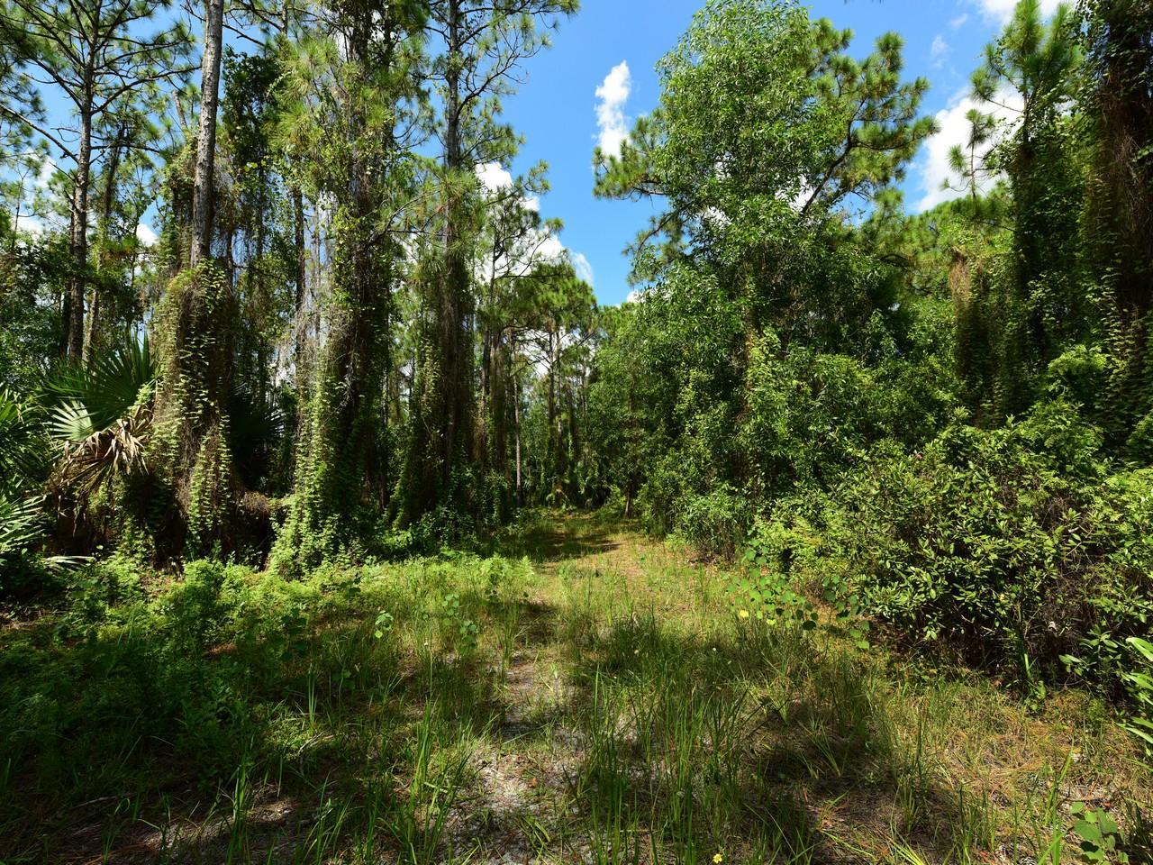 2794 Ranch Acres Circle - Photo 1