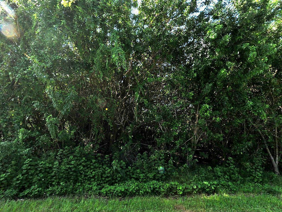 296 Millard Drive - Photo 1
