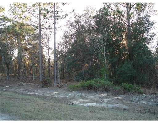 0000 125th Ct Road - Photo 1