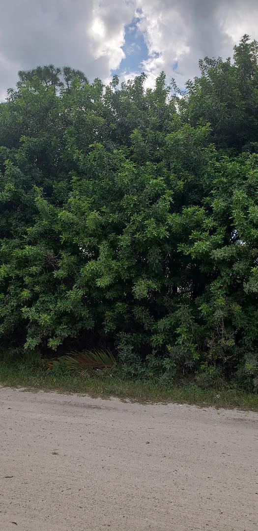 0 178th Road - Photo 1