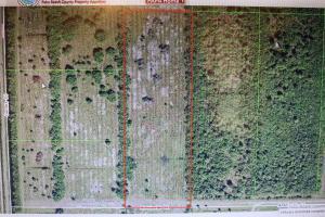 20895 Antoinette Street - Photo 1