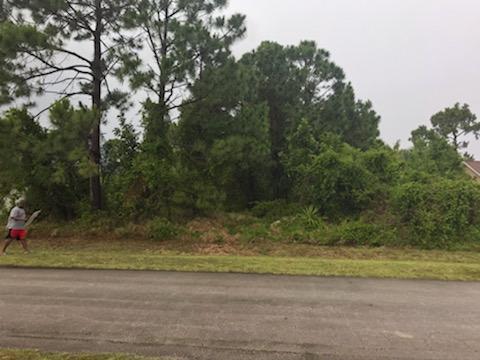 761 Ancona Road - Photo 1