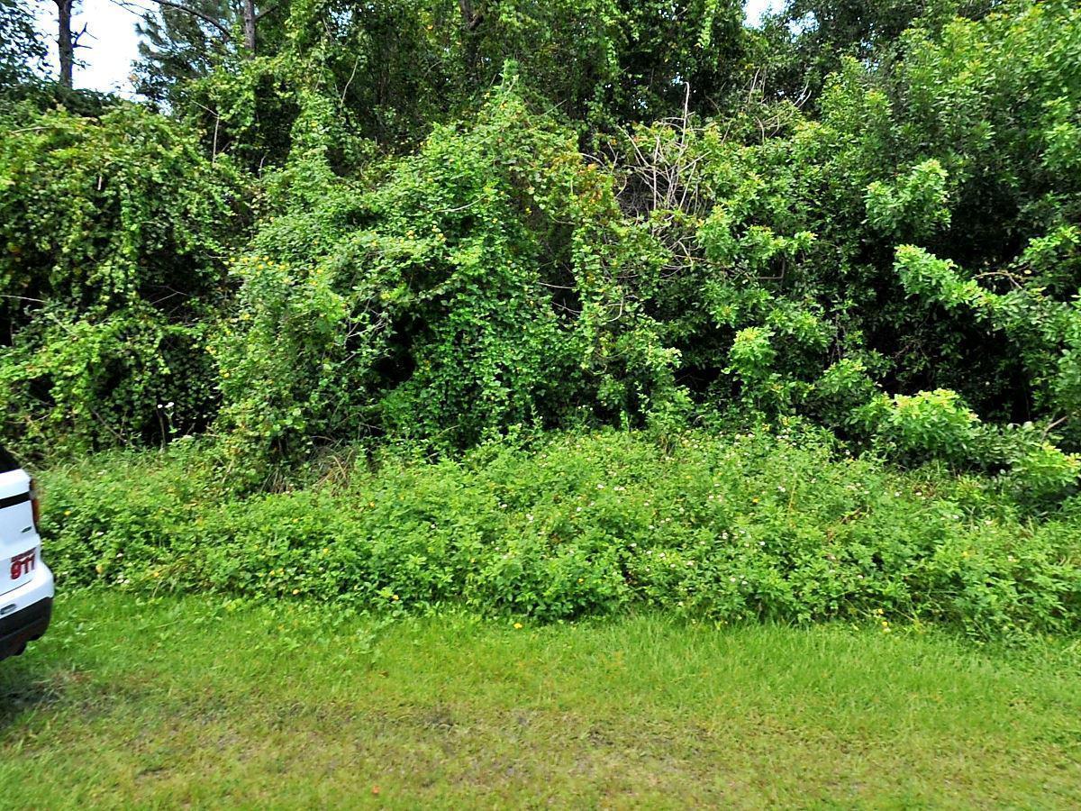 513 Felix Avenue - Photo 1