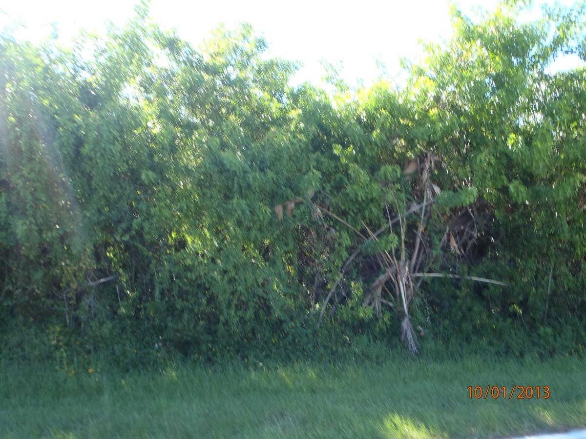 5709 Sunset Boulevard - Photo 1