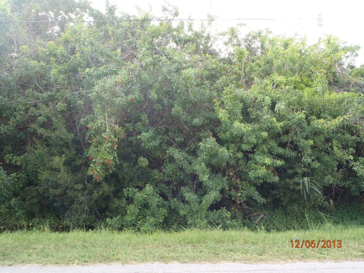 5309 Birch Drive - Photo 1