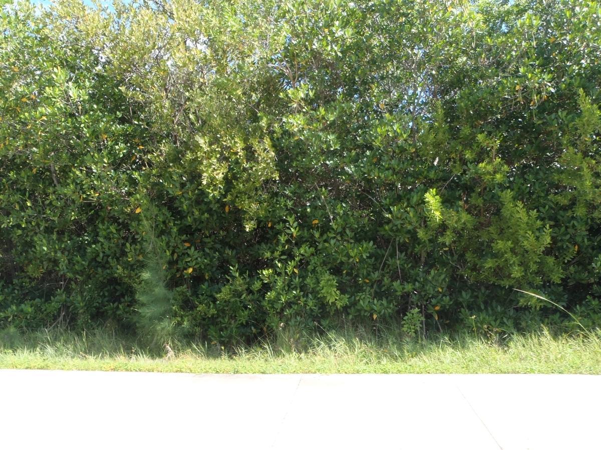Xxx Ocean Drive - Photo 1