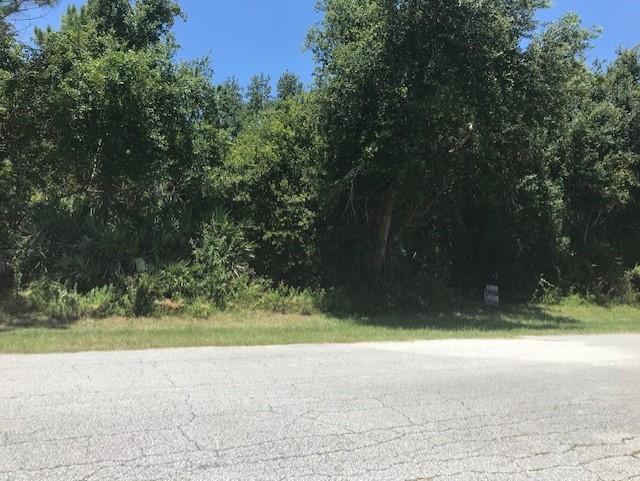 2326 Freeman Street - Photo 1