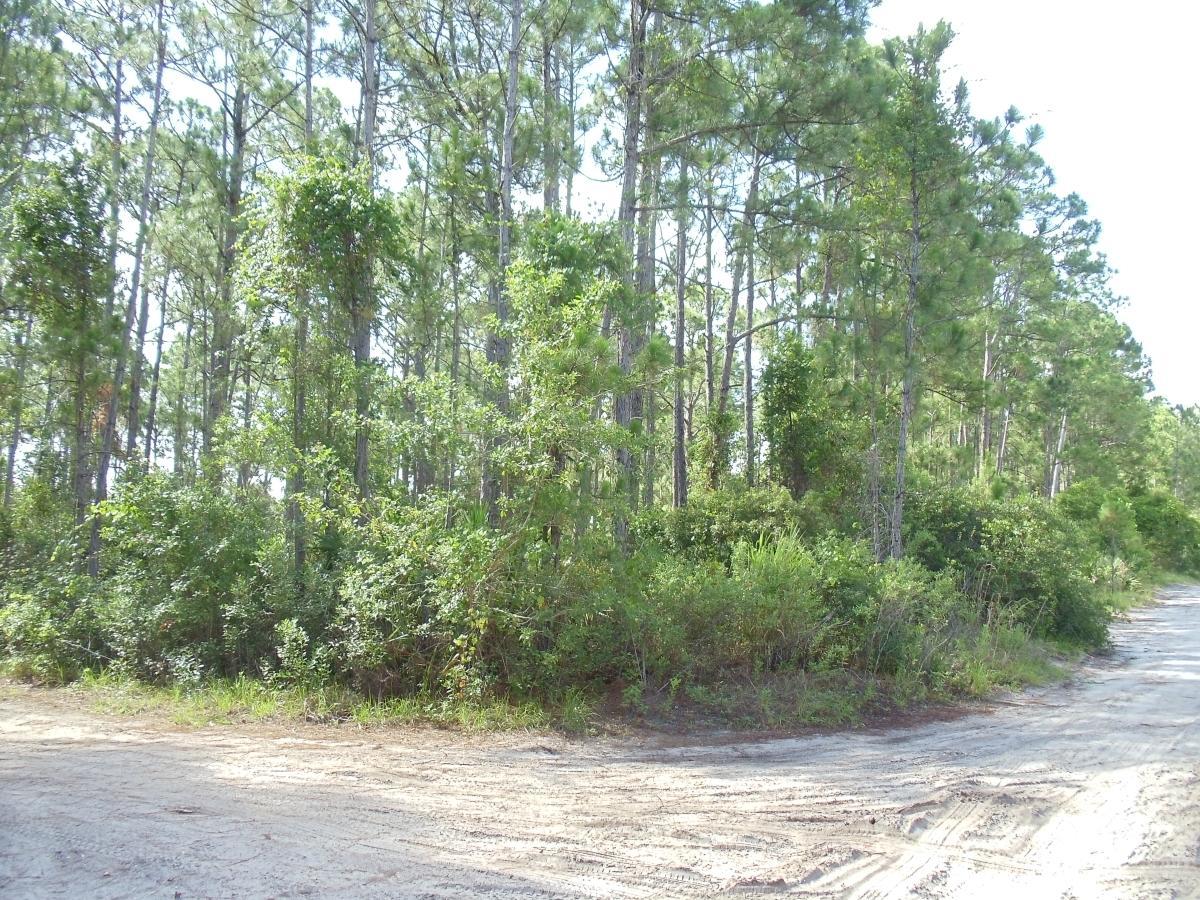 Tba Southwind Trail - Photo 1