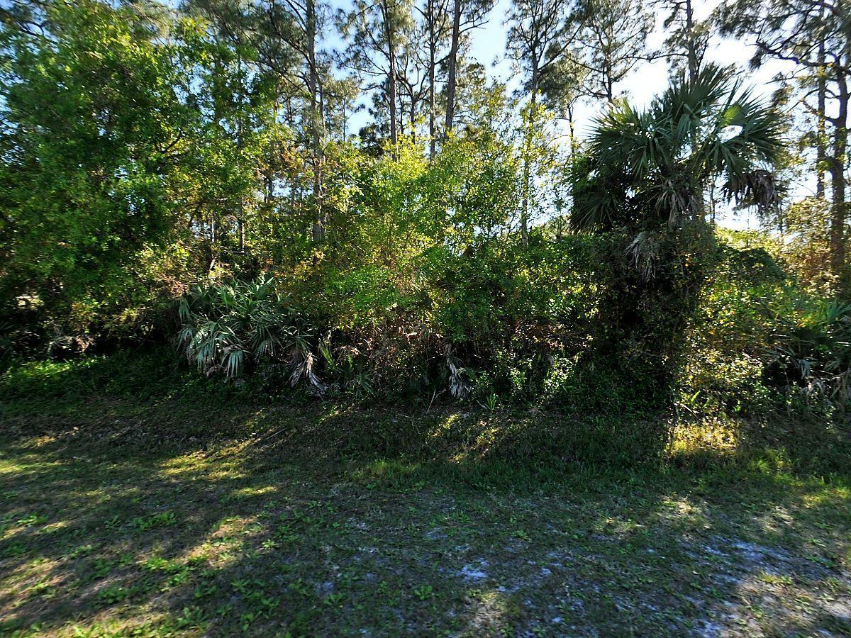 7005 Deland Avenue - Photo 1