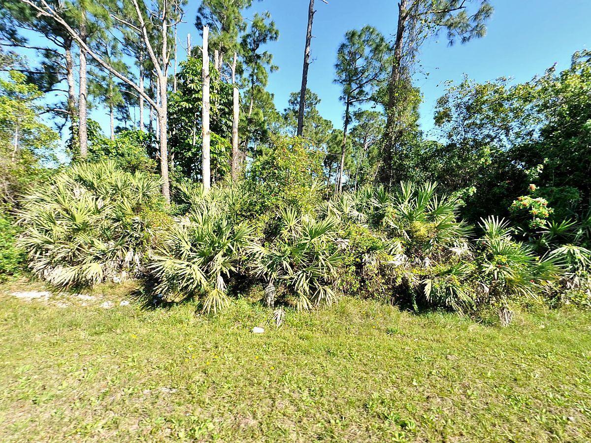 7007 Deland Avenue - Photo 1