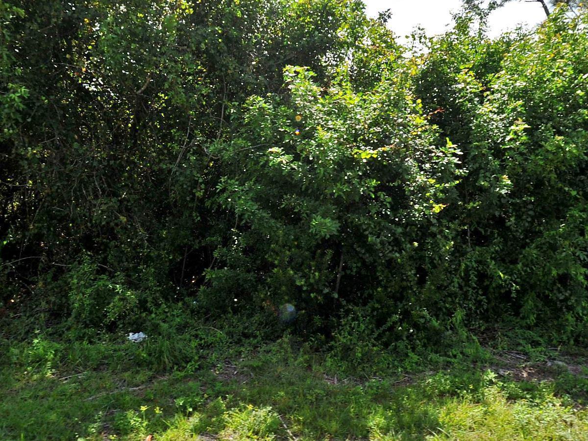 260 Marathon Avenue - Photo 1