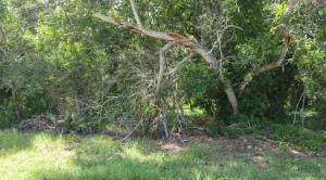 2961 East Blackwell Drive - Photo 1