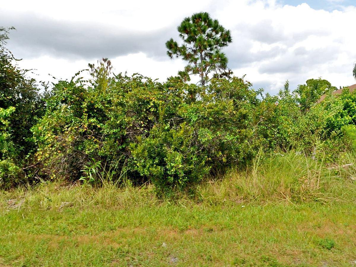 5751 Eskimo Circle - Photo 1
