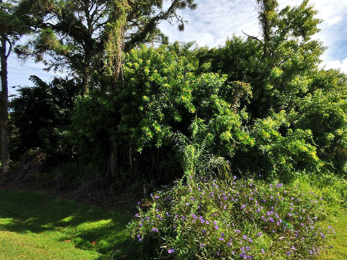 5912 Sunset Boulevard - Photo 1