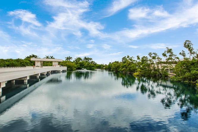 4600 Ocean Drive - Photo 1