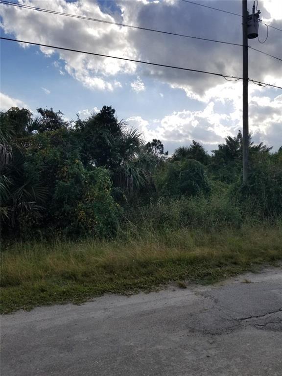 517 Forrest Hills Street - Photo 1