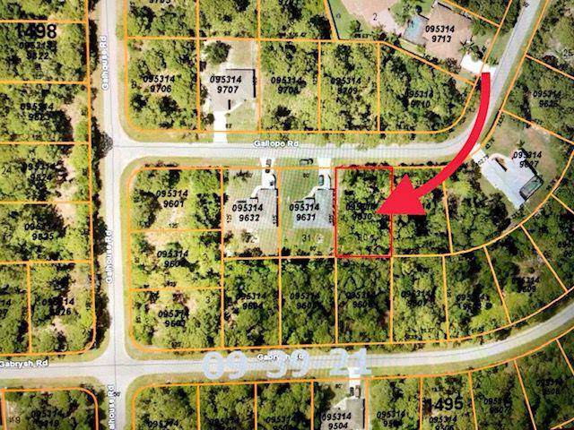 000 Gallopo Road - Photo 1