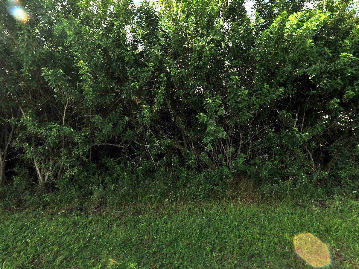 374 Fig Avenue - Photo 1