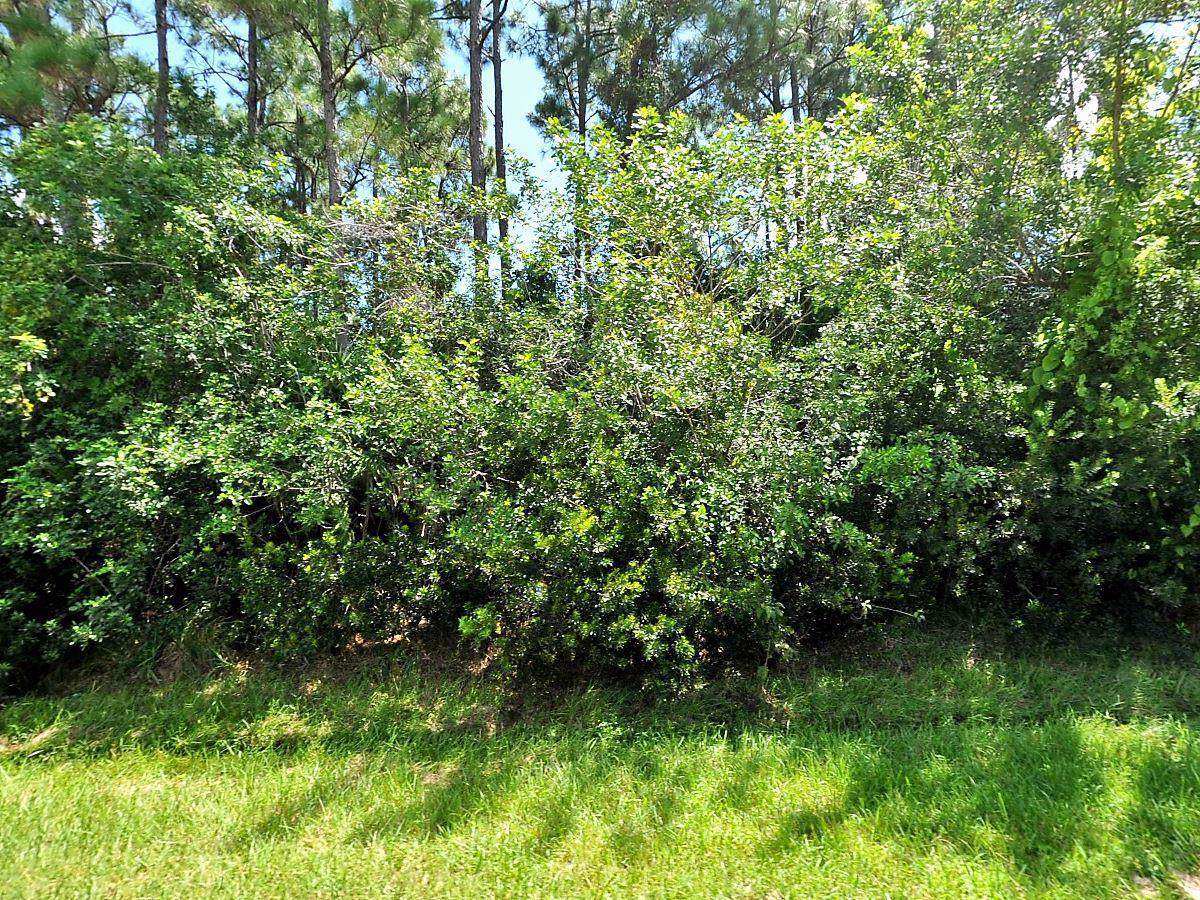 308 Hollyhock Drive - Photo 1 308 Hollyhock Drive - Photo 1