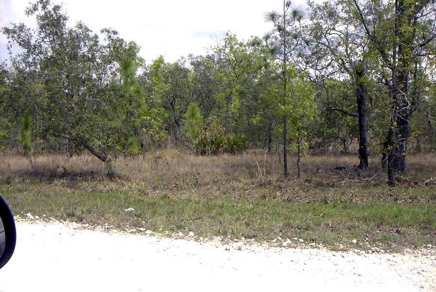 Tbd Celeste Avenue - Photo 1