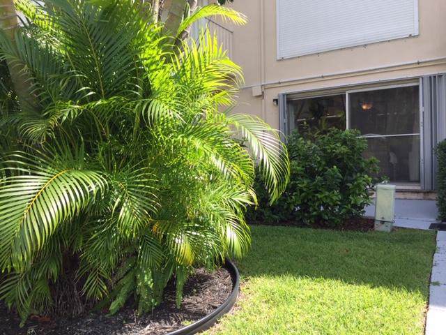 4001 Ocean Boulevard - Photo 1