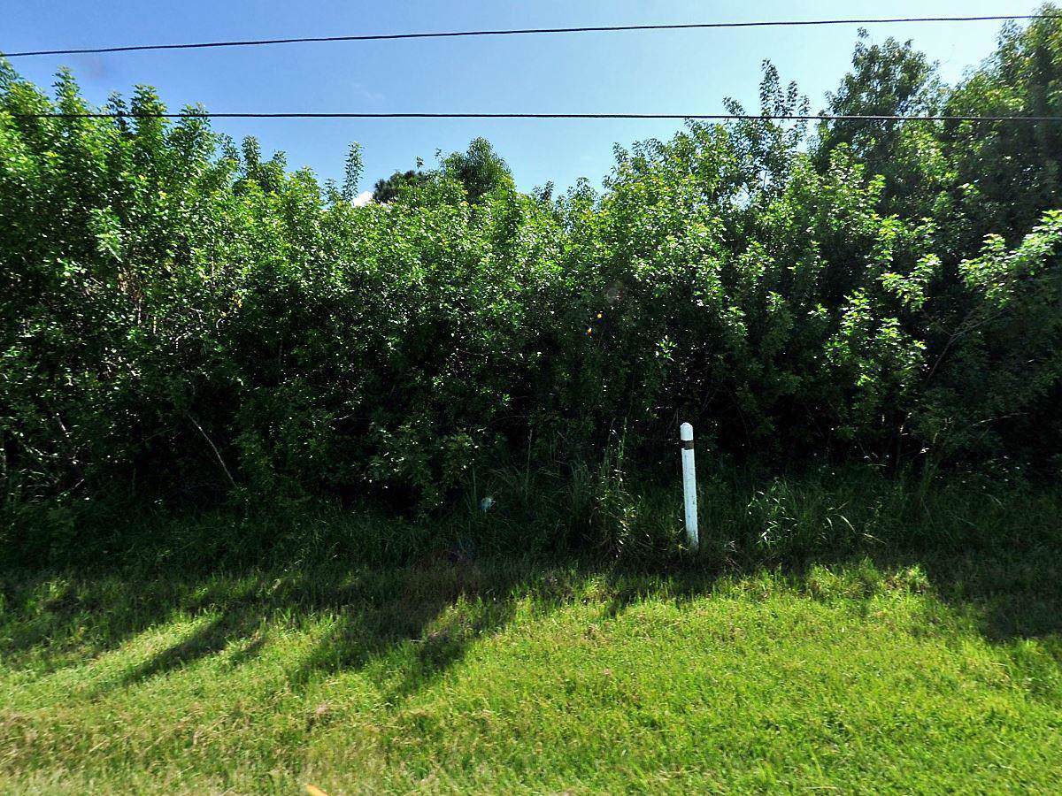 3511 Macon Road - Photo 1
