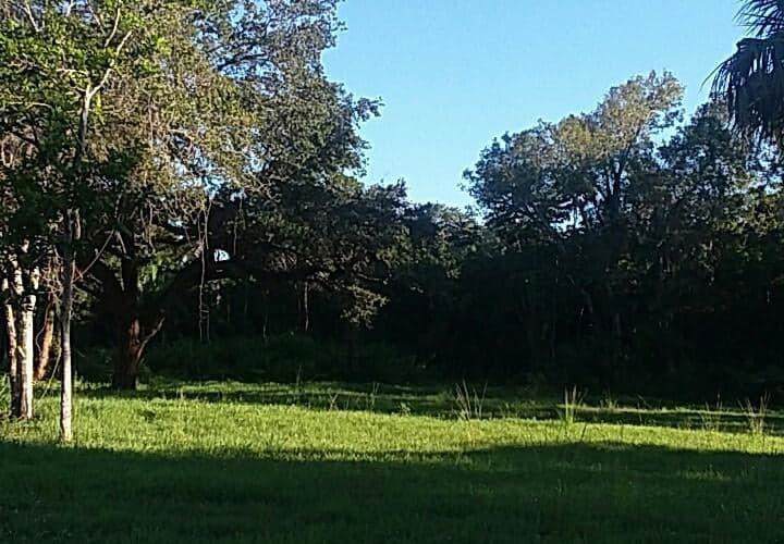 0 Indiana Avenue - Photo 1