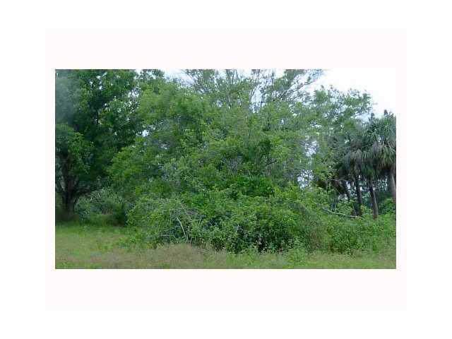 1517 Paar Drive - Photo 1