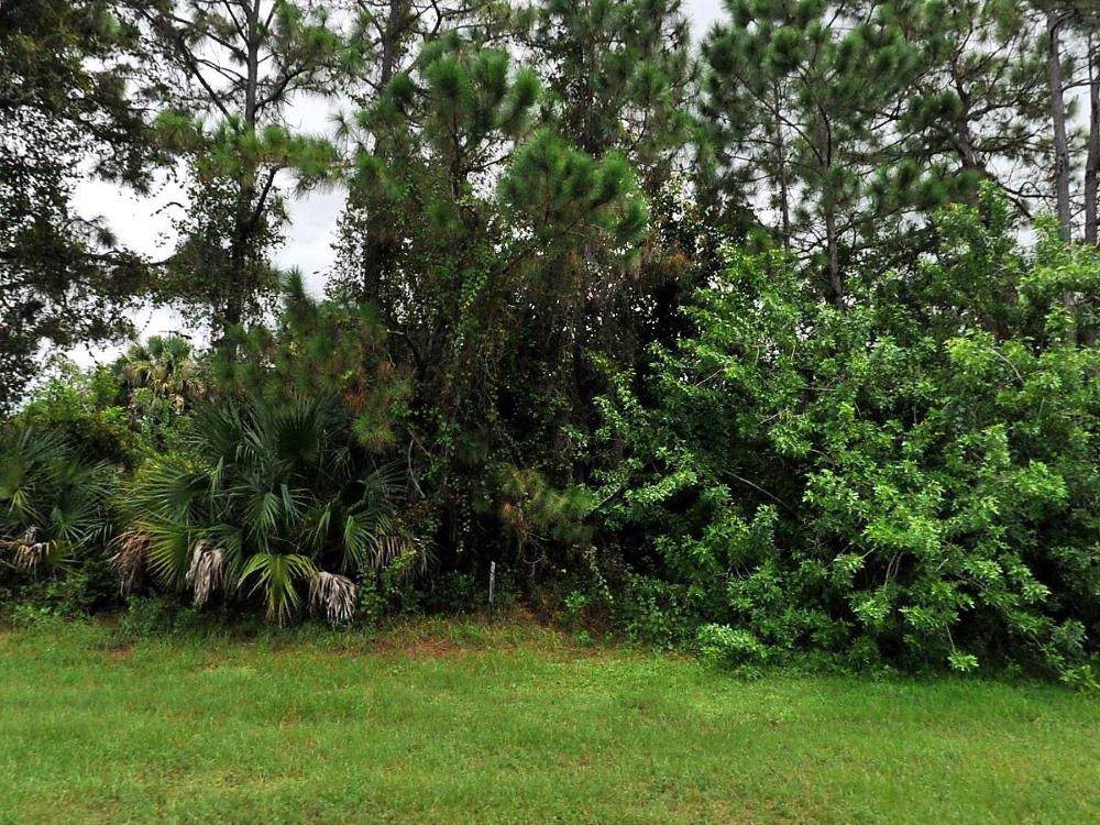 3281 Port St Lucie Boulevard - Photo 1