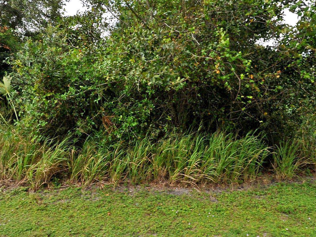 1782 Bayshore Boulevard - Photo 1