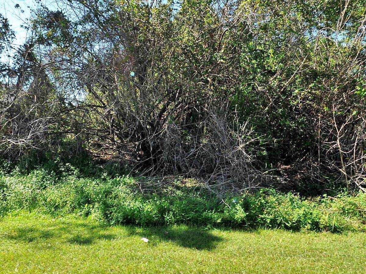 1014 Del Rio Boulevard - Photo 1