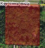 Xxxx Key Lime Boulevard - Photo 1