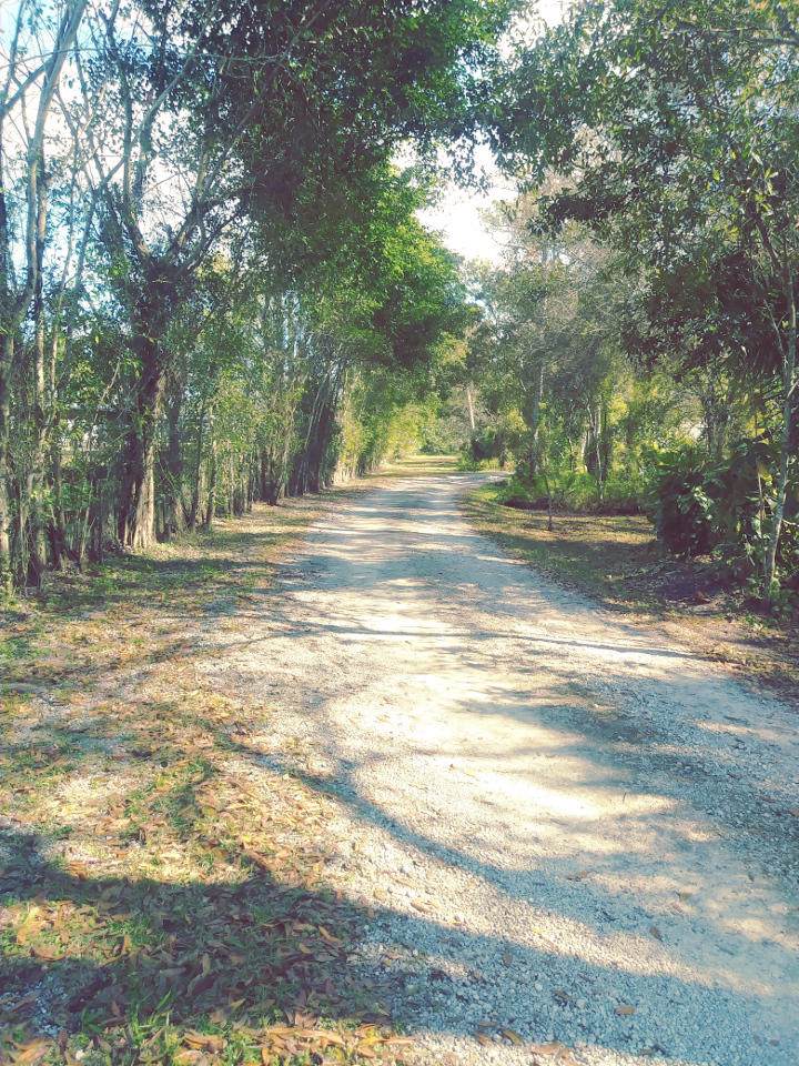 1640 C Road - Photo 1
