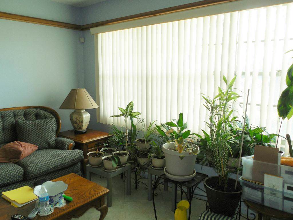 115 Southampton A - Photo 1