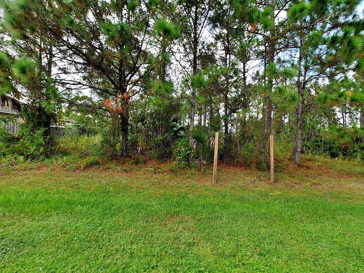 5868 Carovel Avenue - Photo 1