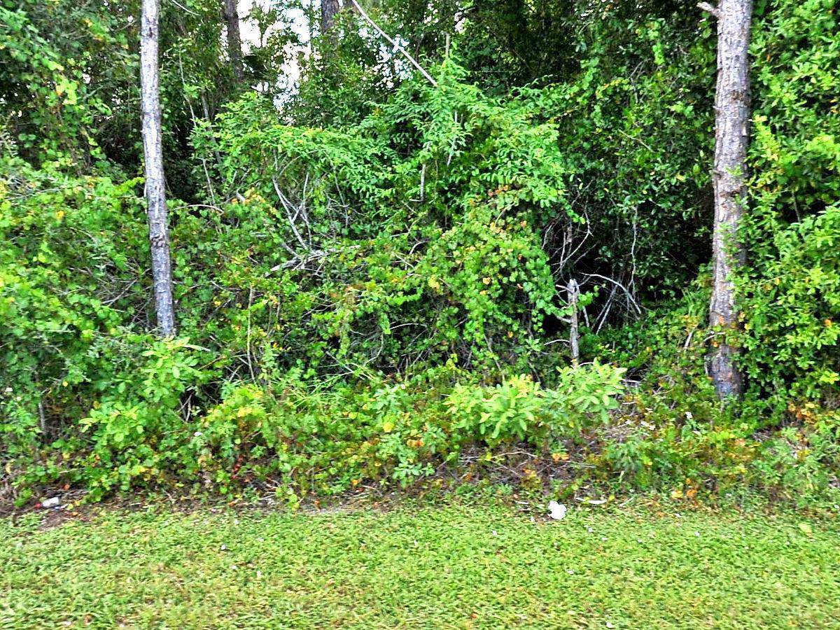 1210 Bayshore Boulevard - Photo 1 1210 Bayshore Boulevard - Photo 1