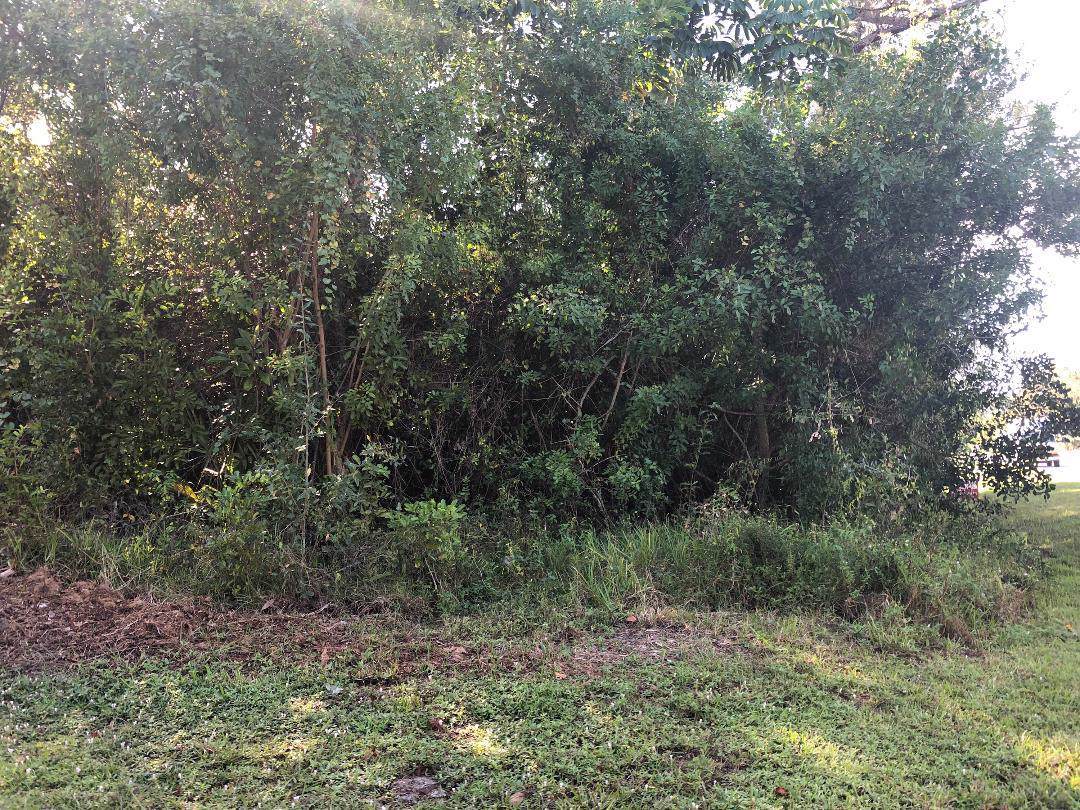Tbd Lakeland Boulevard - Photo 1