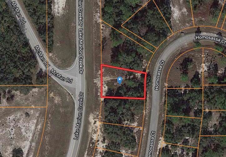 1335 Homosassa Court - Photo 1