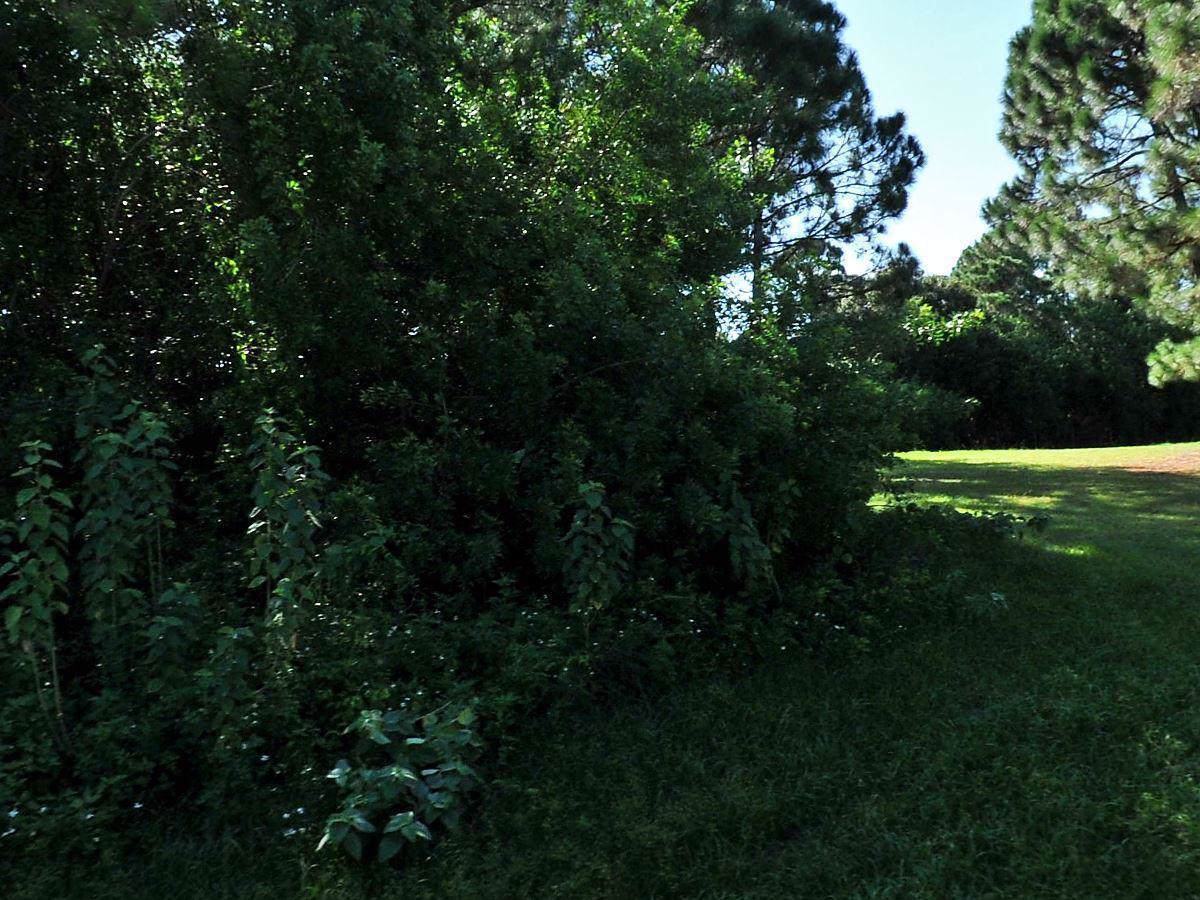 3311 Quay Street - Photo 1