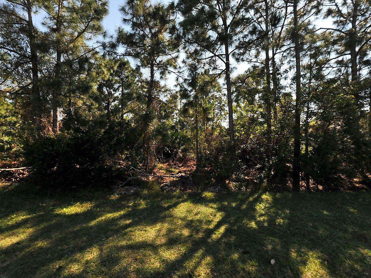 5876 Hann Drive - Photo 1