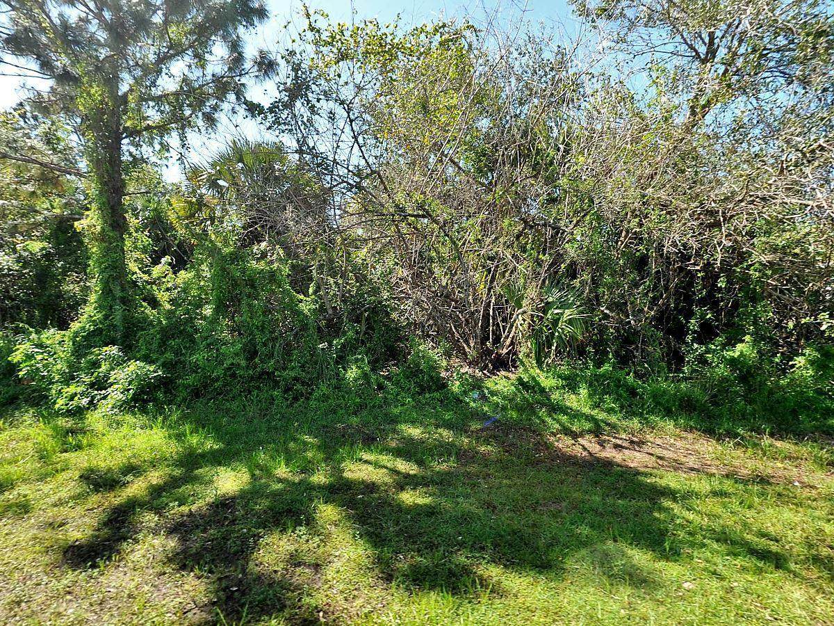 1956 Gold Lane - Photo 1