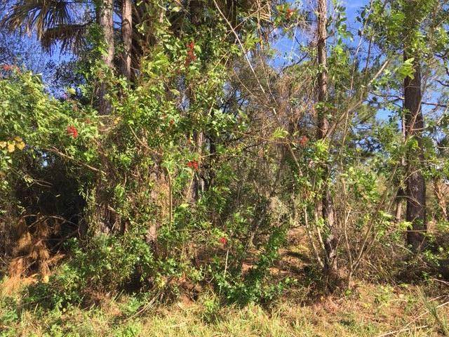 8186 100th Avenue - Photo 1