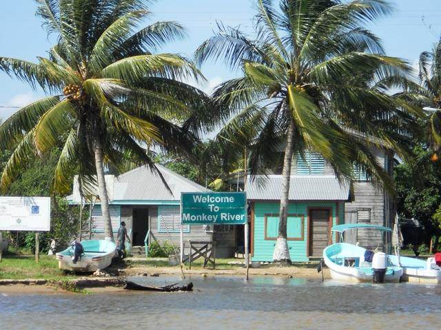 001 Monkey River - Photo 1